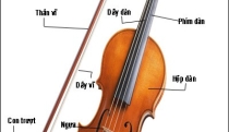 🎻 Những điều cần biết về đàn violin – Kiến thức cơ bản cho người yêu nhạc tại BMT