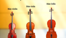 🎻 Phân biệt Violin – Viola – Cello: Người yêu nhạc cần biết