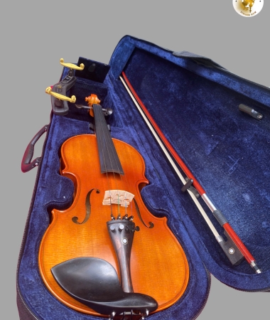 Hướng dẫn chọn mua đàn violin tại BMT – Bí quyết chọn cây đàn phù hợp cho người mới bắt đầu
