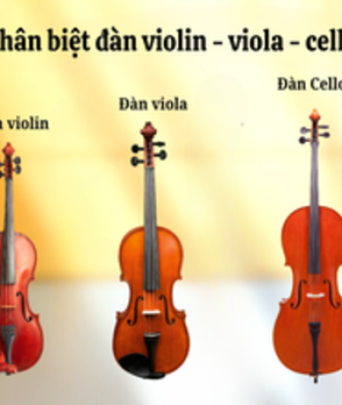 🎻 Phân biệt Violin – Viola – Cello: Người yêu nhạc cần biết