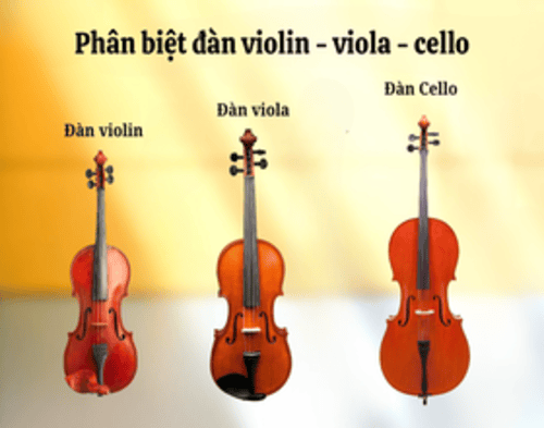Phân biệt Violin – Viola – Cello: Người yêu nhạc cần biết