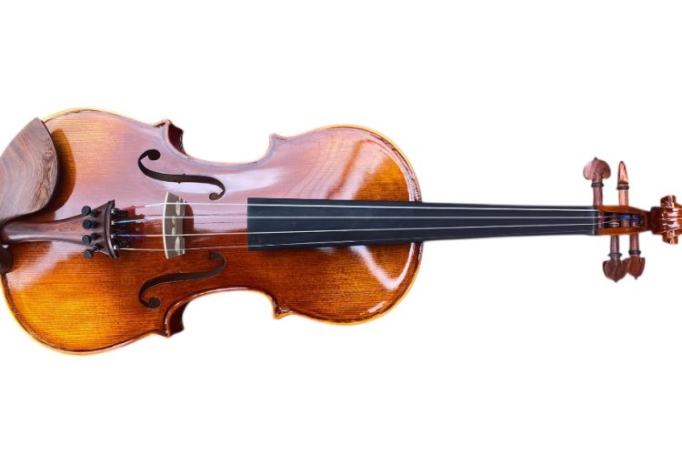 Đàn Violin Queen Q3 Size 4/4