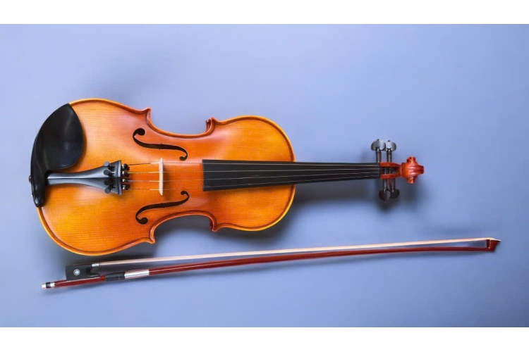 Đàn Violin Queen Q2 size 4/4