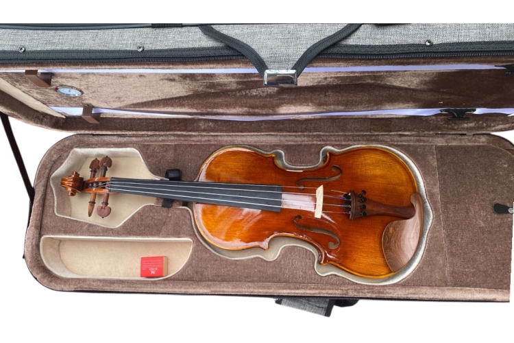 Đàn Violin Queen Q3 Size 4/4